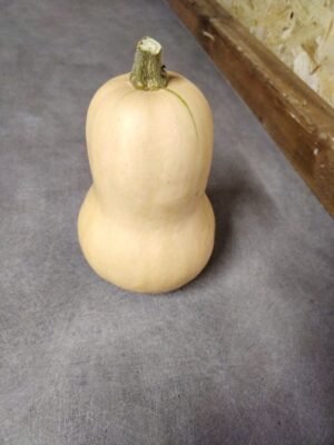 COURGE Butternut - 1,8 kg - 2,90 €/kg -