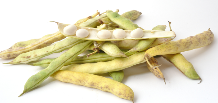 HARICOT COCO demi-sec - 6 €/kg -